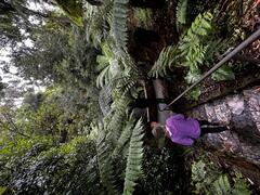Camryn jungle